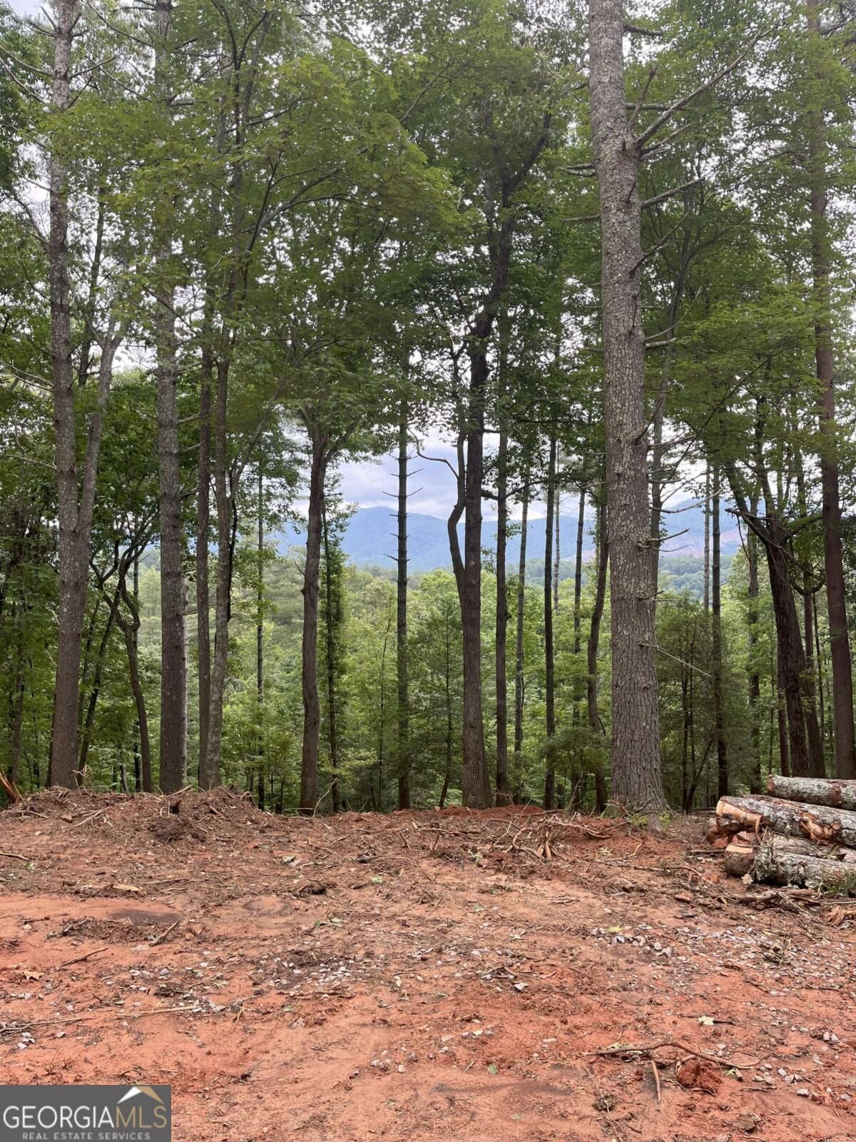 Property Photo: Lot 592 Sapulpa Court GA 30540