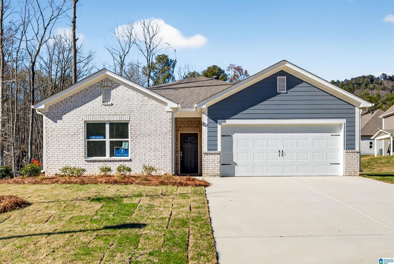 Property Photo:  125 Townmoor Lane  AL 35147 