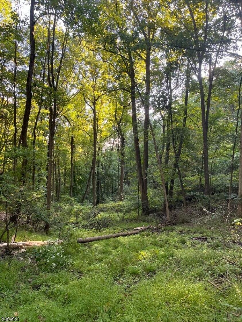 Property Photo: Gravel Hill NJ 08848