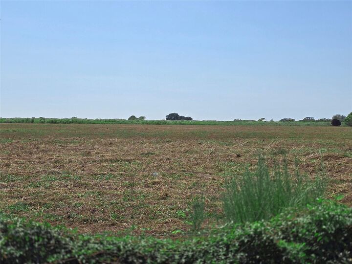 Property Photo:  3115 Meier Road S  TX 77474 