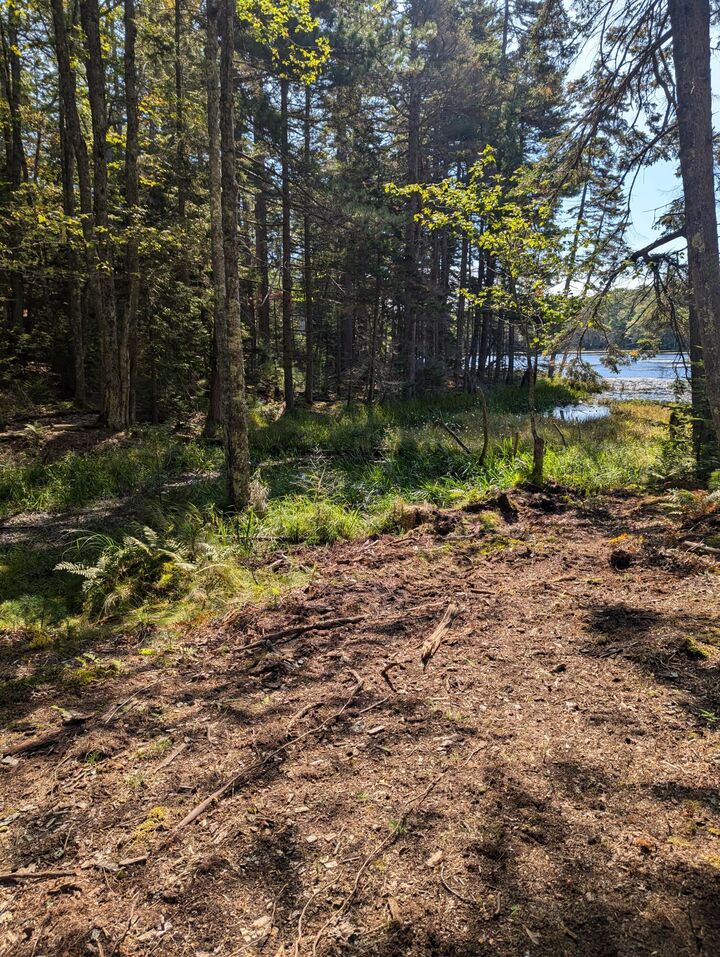 Property Photo:  0 Route #144 (Main Road)  ME 04578 