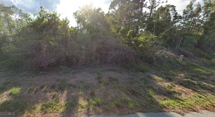 Property Photo:  1042 Marathon Avenue S  FL 33974 