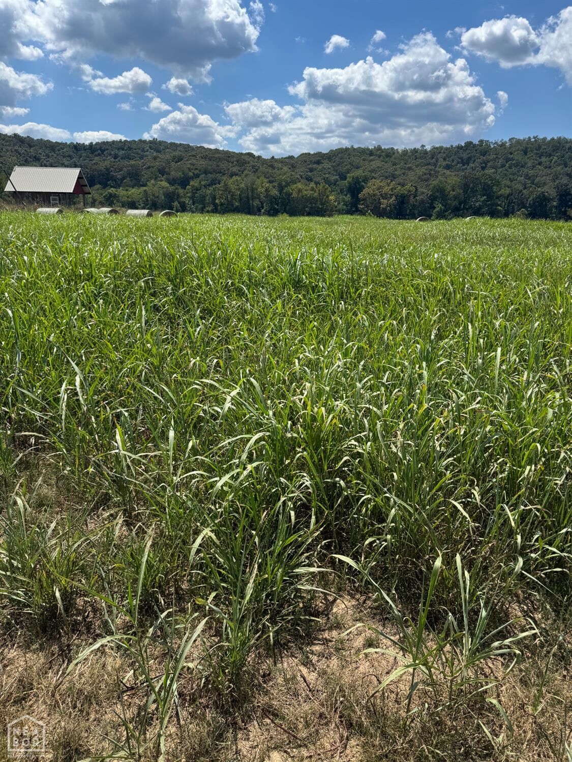 Property Photo: 43 White River Run AR 72540