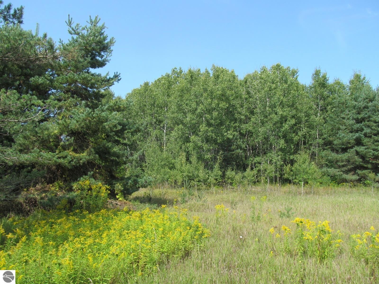 Property Photo: '0' M-55 MI 49601