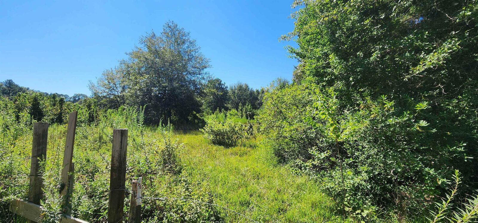 Property Photo:  00 Cr 808  TX 77612 