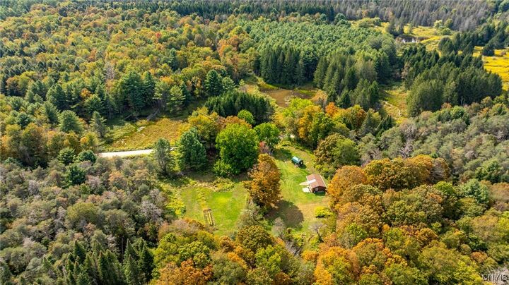 Property Photo:  346 Cueball Road  NY 13778 
