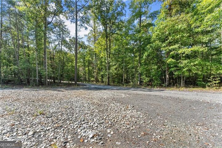 Property Photo:  0 Cleve Wright Road  GA 30534 