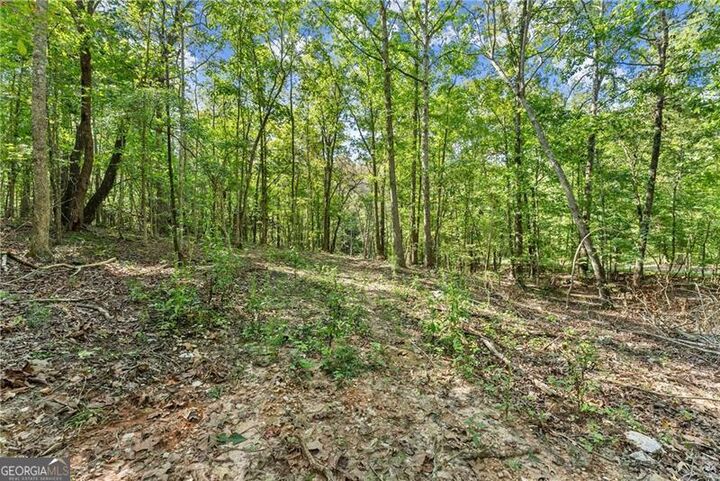 Property Photo:  0 Cleve Wright Road  GA 30534 