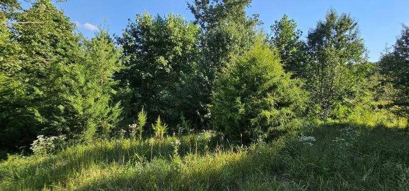 Property Photo: Lot 561 Bluff View Drive TN 37327