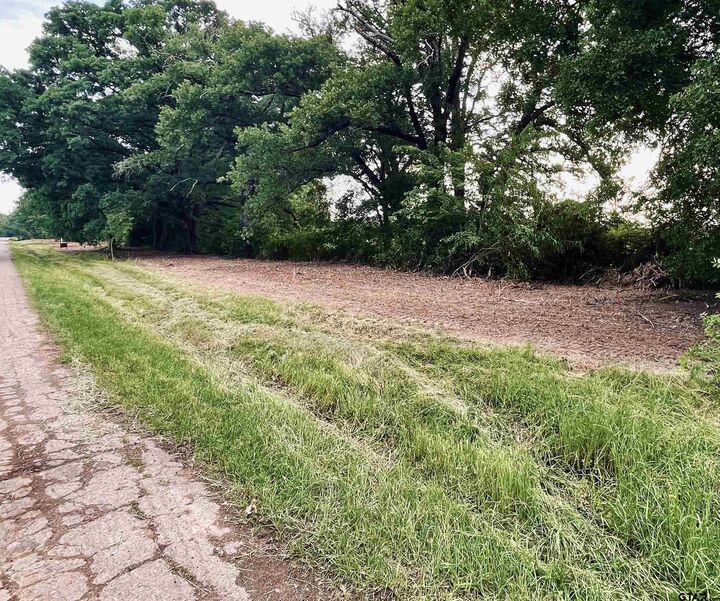 Property Photo:  Lot 6 , Leach Woods East  Cr 1560  TX 75410 