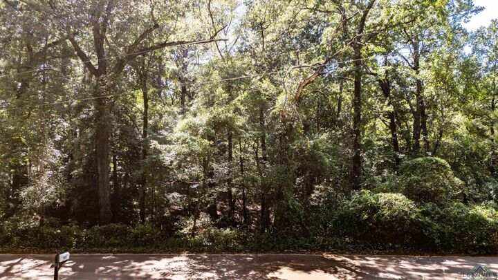 Property Photo:  Tbd Athens Church Rd  TX 75650 