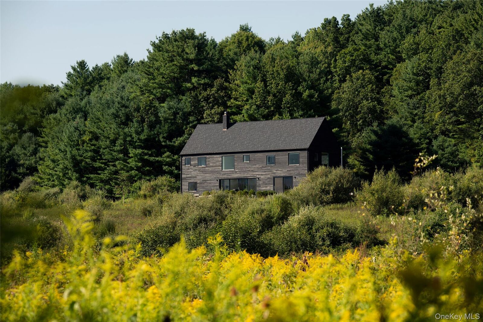 Property Photo: 78 Waldorf Ridge Road NY 12516