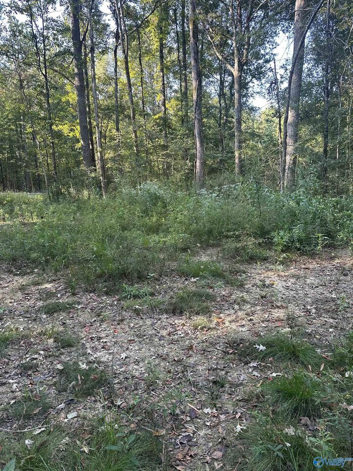 Property Photo:  135 N Maddox Road  AL 36272 