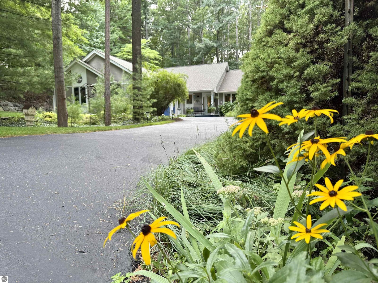 Property Photo: 4373 Audubon Drive MI 49686