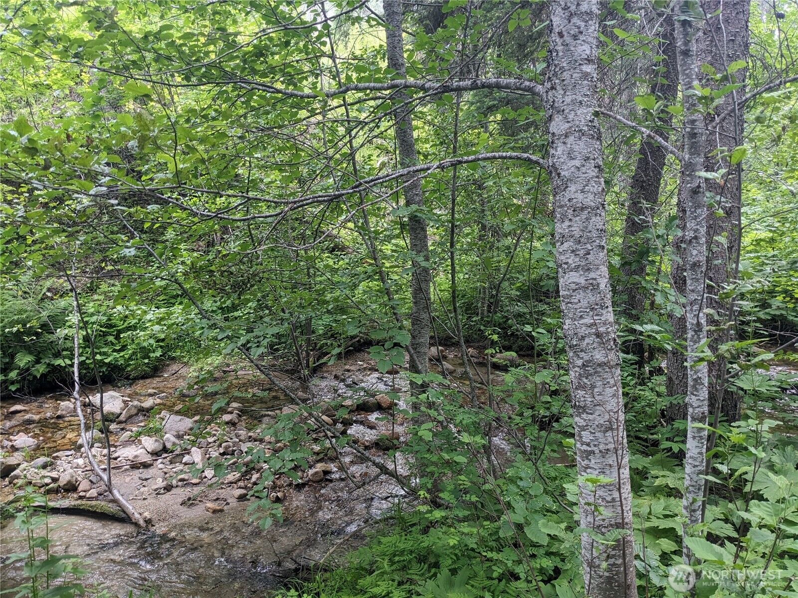 Property Photo:  0 Tbd  Bia Road 56  WA 99155 