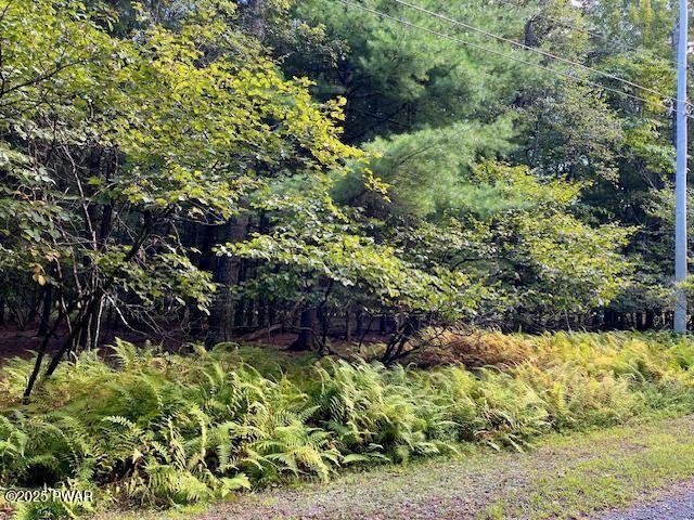 Property Photo: Lot 235A Hound Road PA 18328