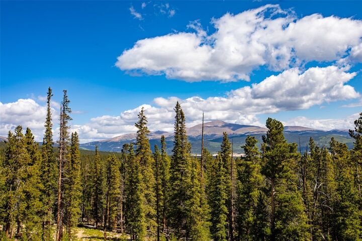 Property Photo:  692 Bobcat Lane  CO 80440 