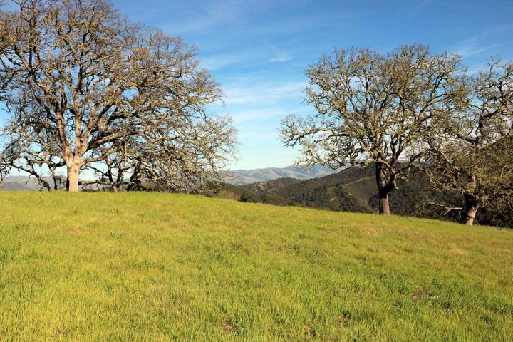 Property Photo:  5 Black Mountain Trail (Lot 247)  CA 93923 