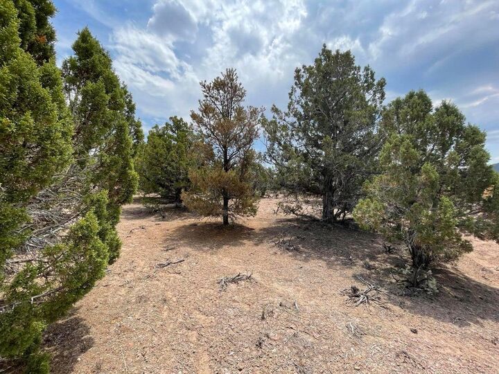 Property Photo:  1788 Granite Ln 3  UT 84720 