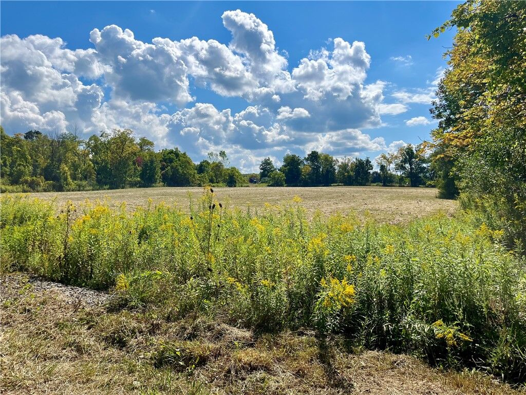 Property Photo:  8850 Route 414  NY 14860 