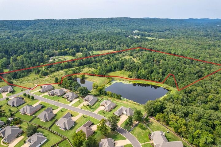 Property Photo:  Tbd Lee Warren Lane  AR 71913 