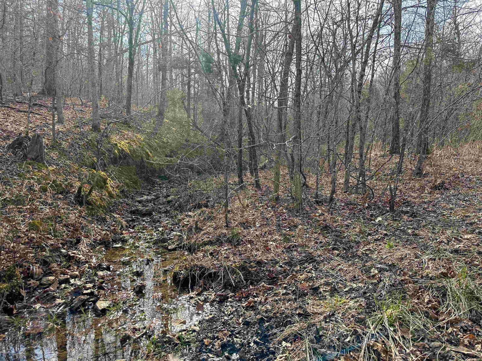 Property Photo: Xx N Summit Ridge Drive AR 72482