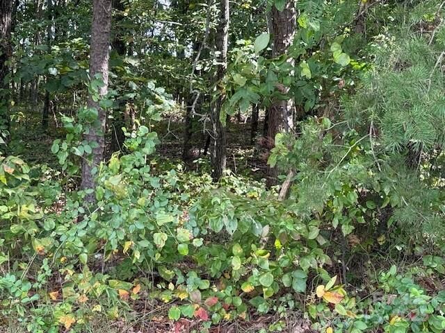 Property Photo:  00 Nc 182 Highway  NC 28021 