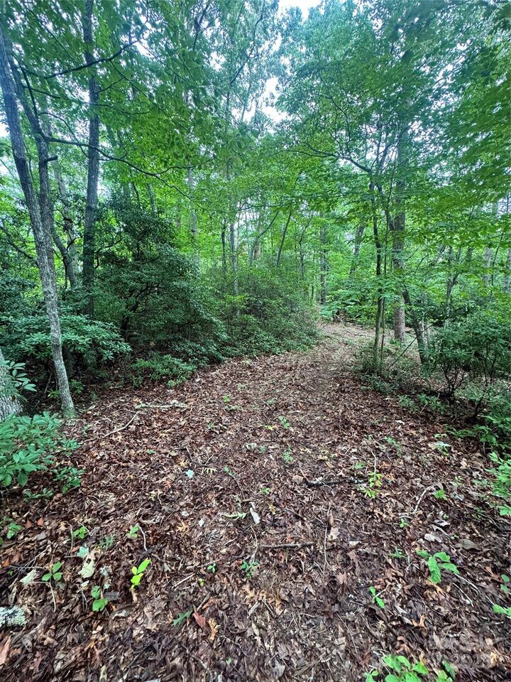 Property Photo: 0 Travelers Rest Lane NC 28139