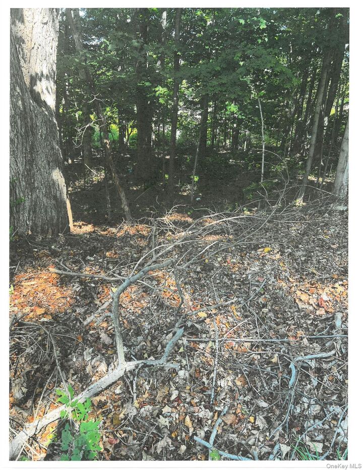 Property Photo:  Lots 49, 50 &Amp 68 Somerset Lane  NY 10567 
