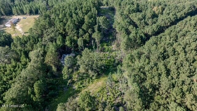 Property Photo:  174 Pap Armstrong Road  MS 39577 