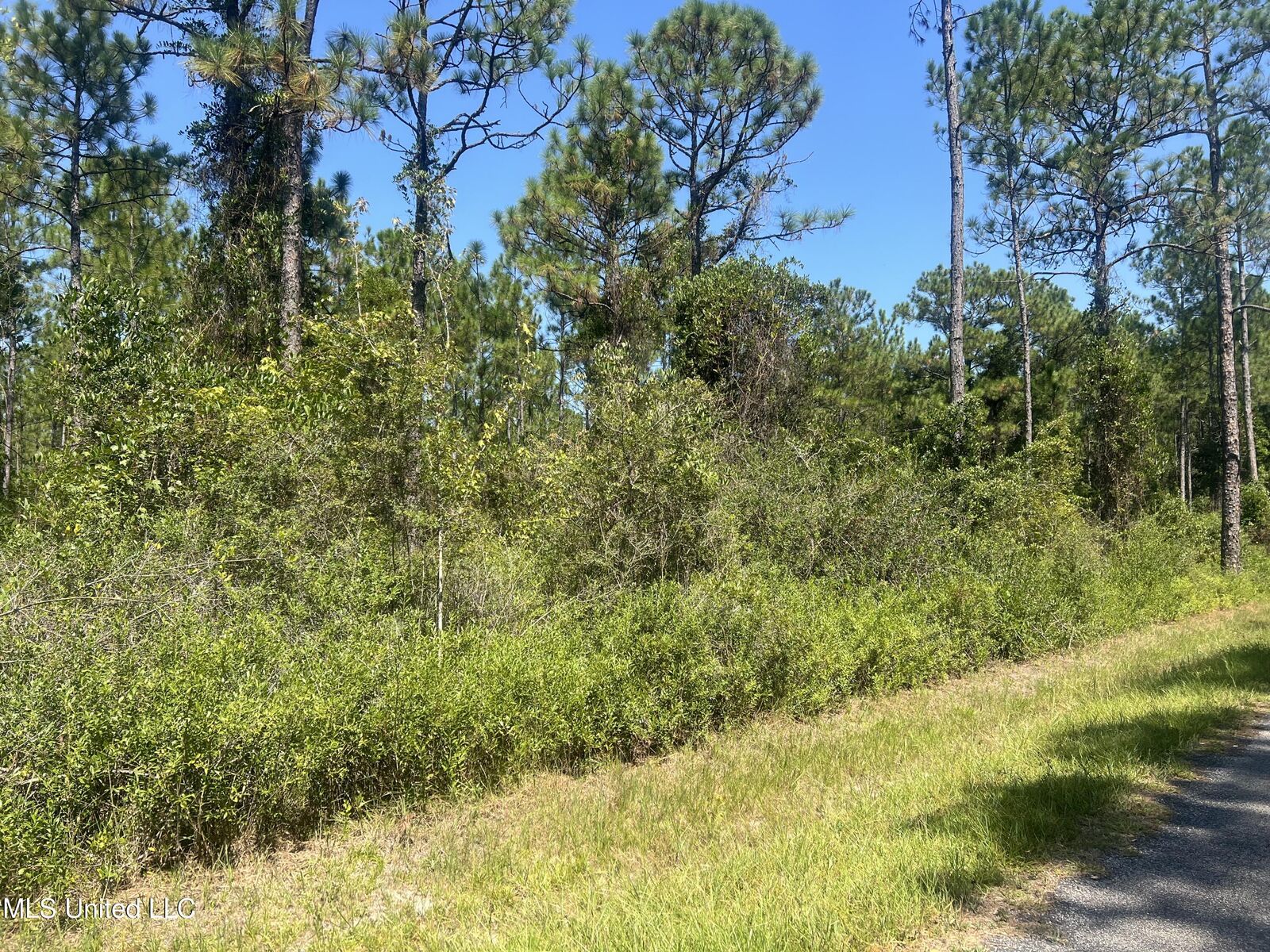 Property Photo:  Leggett Road  MS 39560 