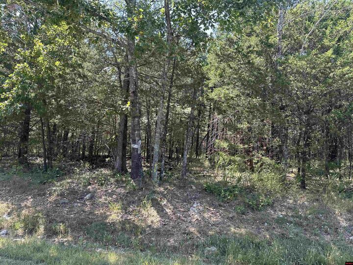 Property Photo:  11360 Hwy 125  AR 72668 