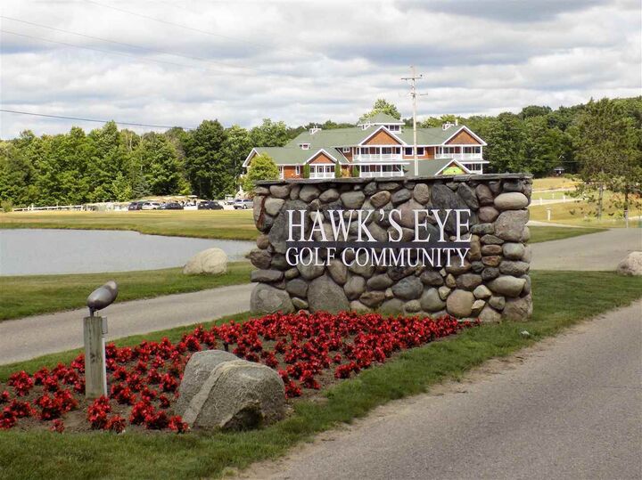 Lot 253 Niblick 253  Bellaire MI 49615 photo