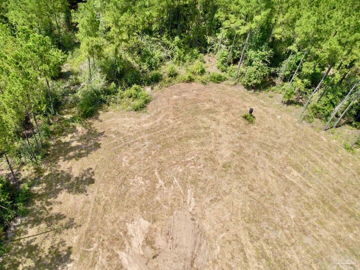 Property Photo:  Lot 15-SW Bashi Rd  FL 32571 
