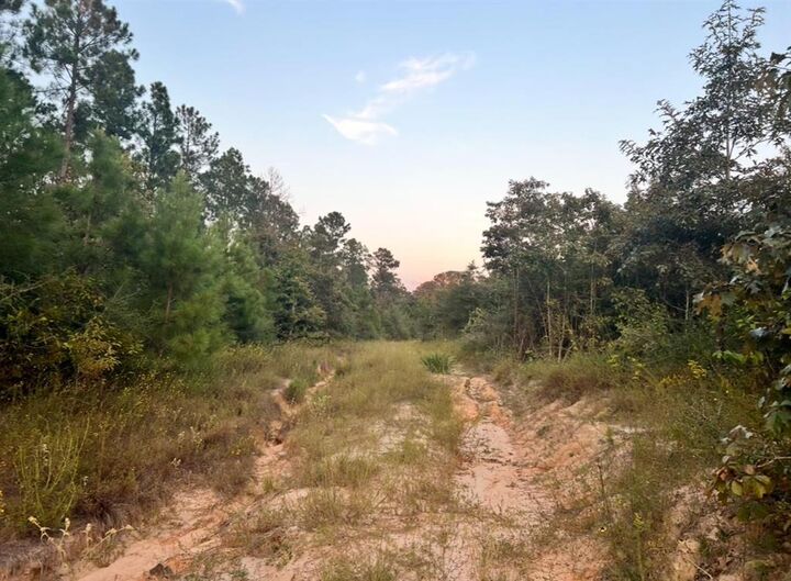 Property Photo:  0 Paul McMillian Road  LA 70634 