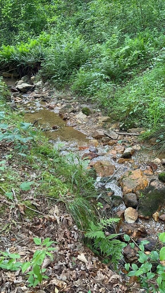 Property Photo:  210 Towe  VA 24317