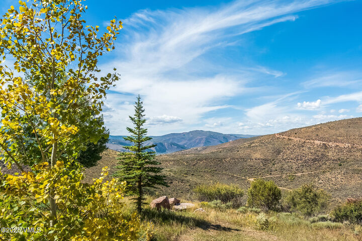 Property Photo:  2929 June Creek Trail A  CO 81620 