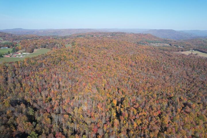 Property Photo:  258 Eagle'S Nest Ridge  WV 25918 