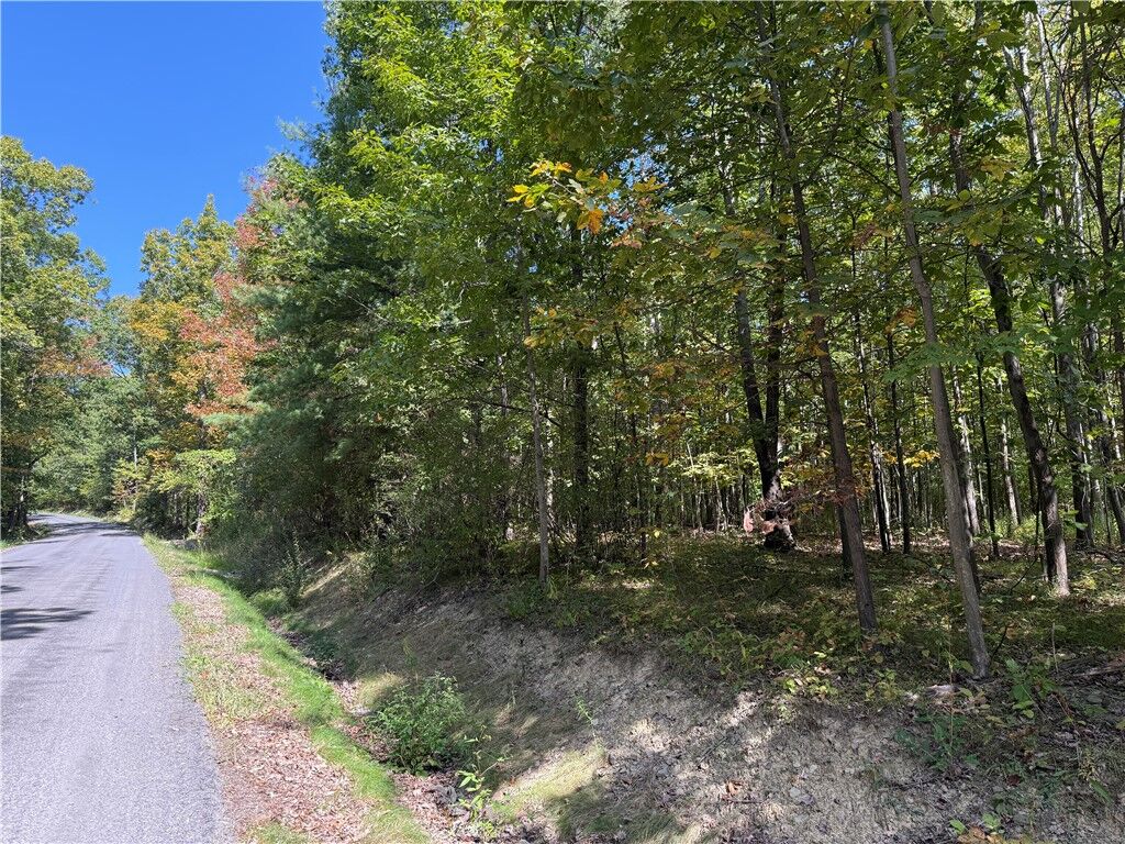 Property Photo: Upson Road NY 14814