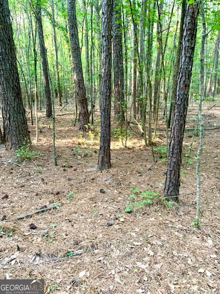 Property Photo:  0 Archer Grove School Road Tract B  GA 30607 