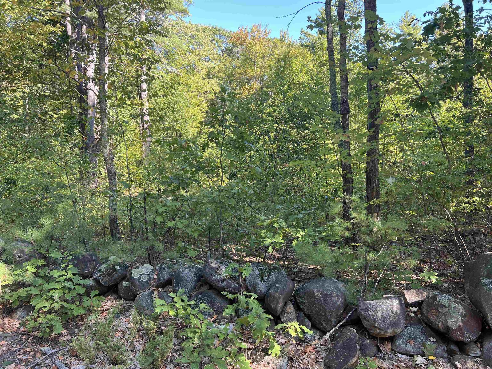 Property Photo: Farrington Corner Road NH 03229