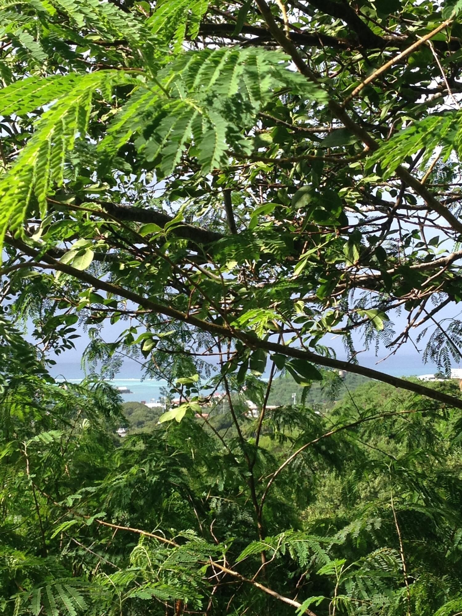 Property Photo:  4 Of 137 Mt. Welcome Ea  VI 00820