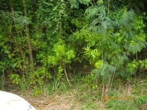 Property Photo:  29 Mt. Victory Na  VI 00840