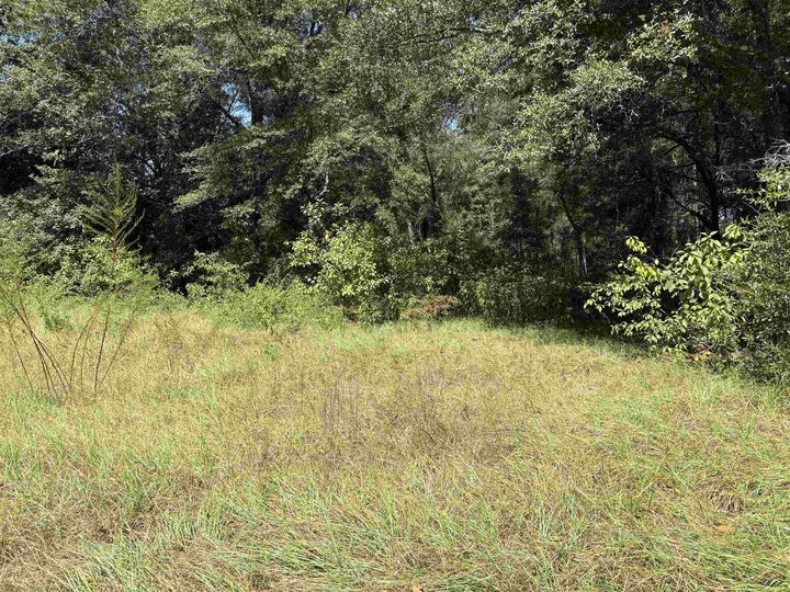 Property Photo:  2660 Blue Waters Court  FL 32305 