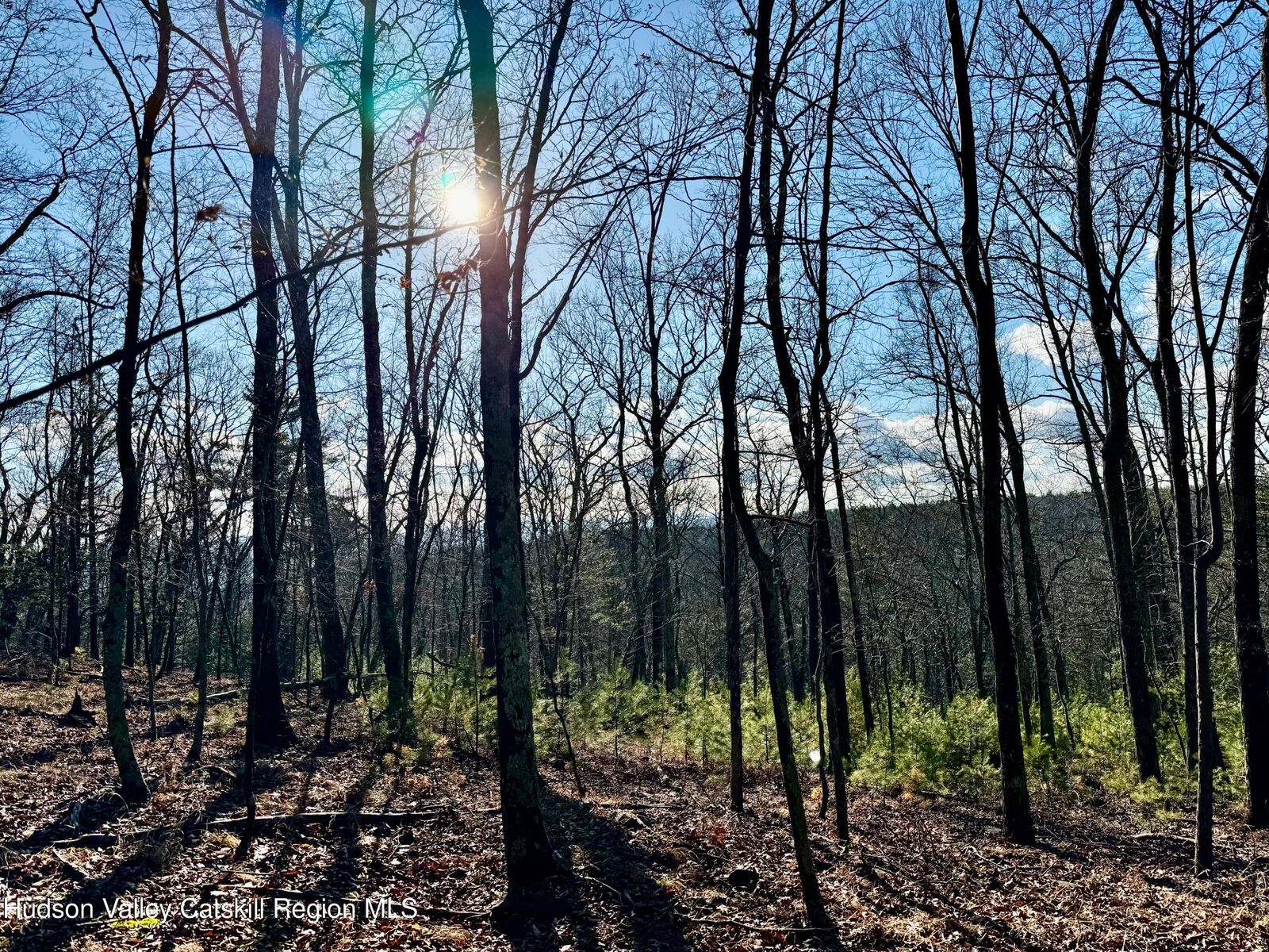 Property Photo:  00 Dug Hill  NY 12443 