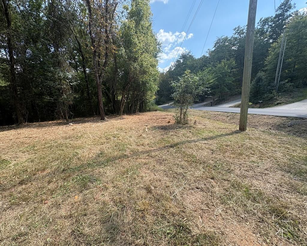 Property Photo:  00 Crider Road  GA 30740 