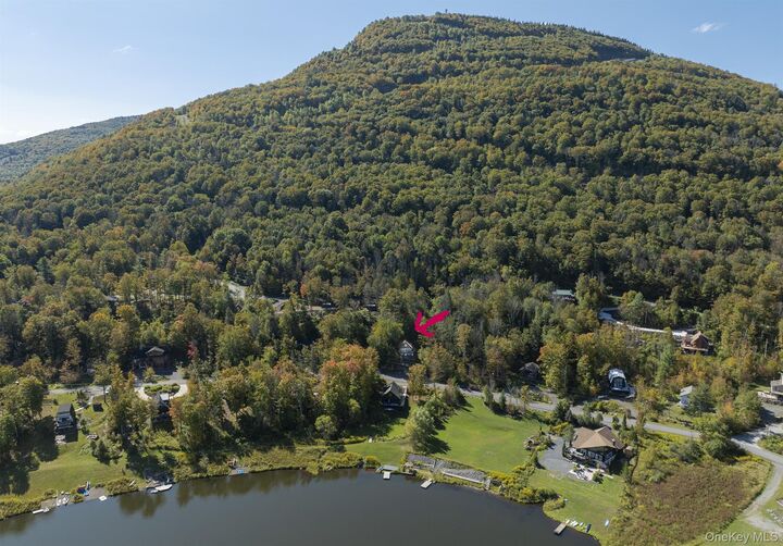 Property Photo: 177 Pine Lane NY 12442
