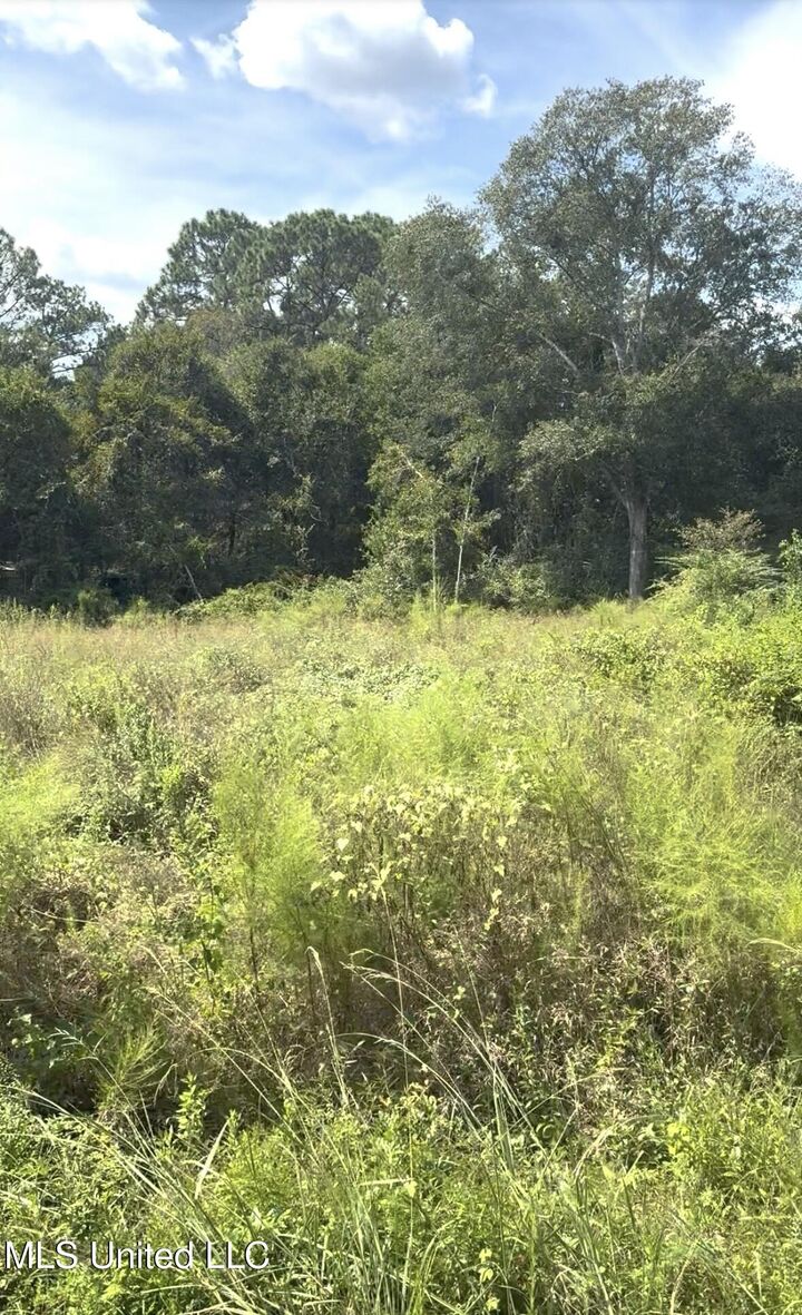 River Music Drive  Gautier MS 39553 photo