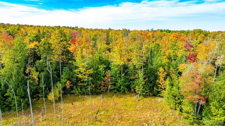Property Photo:  Tbd Bergland Road Road  MI 49910 