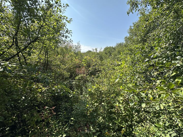 Property Photo: W167n4926 Russell Ct WI 53051
